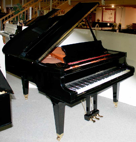 Flügel-Schimmel-174-T-schwarz-305764-1-a